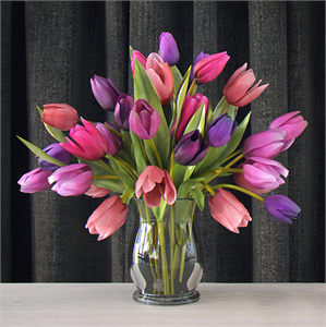 Tulips